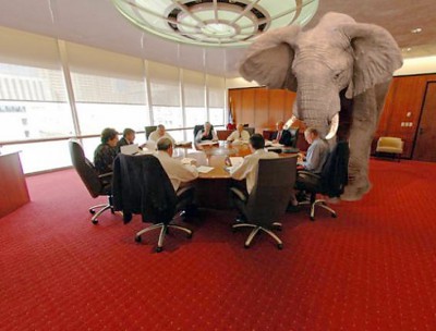 Elefant im Zimmer.jpg