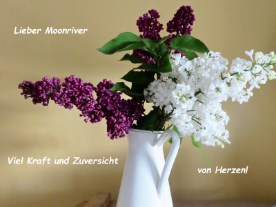 für moonriver.jpg