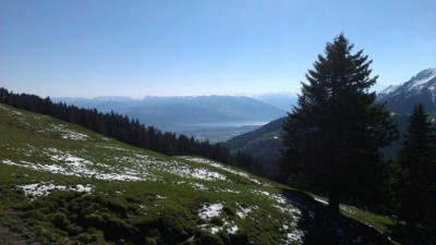 IMAG0368.jpg